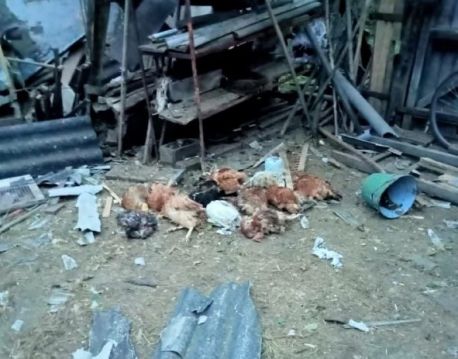 Росіяни сьогодні обстріляли 7 громад Сумщини: вбили козу і десяток курей