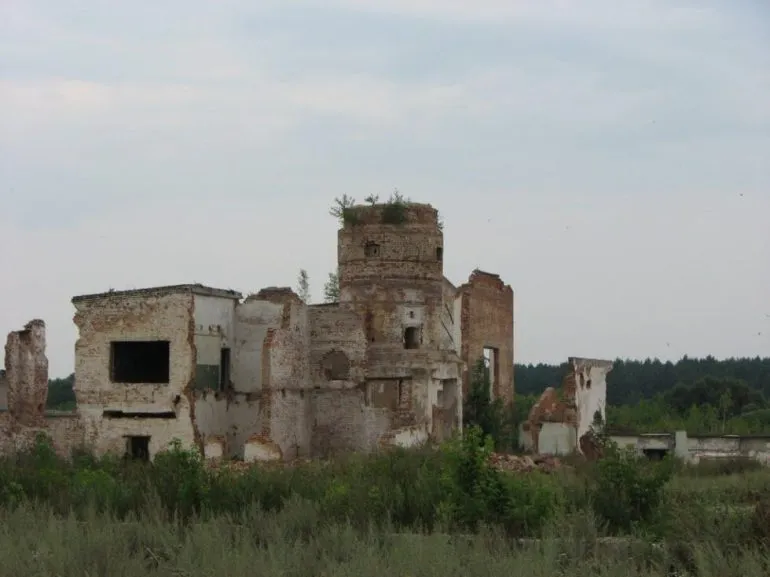 Там, де лишилося п'ятеро жителів: реалії села у Шалигинській громаді