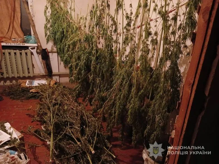 Поліцейські Сумщини задокументували низку фактів зберігання наркотичних речовин