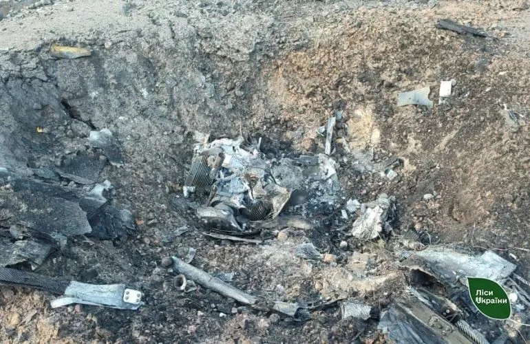 Ворожі війська пошкодили Миронівське лісництво на Шосткинщині