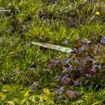 "Розмінування на альпійських луках": новий фотоквест від ДСНС Сумщини