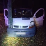 У Сумах п’яний водій врізався в дерево