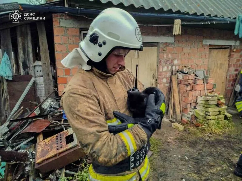 На Сумщині надзвичайники врятували кота з палаючого будинку