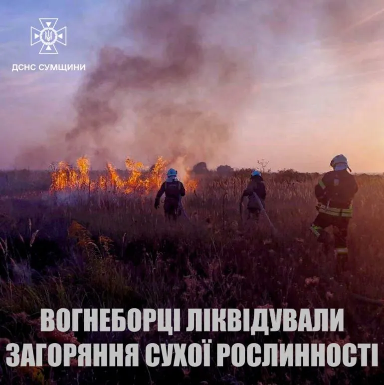 На Сумщині вогнеборці ліквідували загоряння сухої рослинності