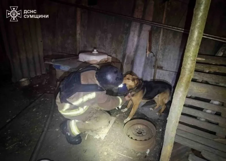 Вночі рф атакувала житловий сектор на Сумщині: під уламками знайшли песиків