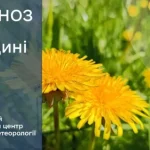 На Сумщині прогнозують потепління | The Sumy Post Новини