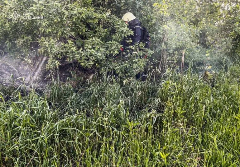 За минулу добу вогнеборці неодноразово ліквідовували загоряння в природних екосистемах Сумщини