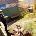 «Білі янголи» евакуювали вісім людей із трьох прикордонних громад Сумщини (ВІДЕО)