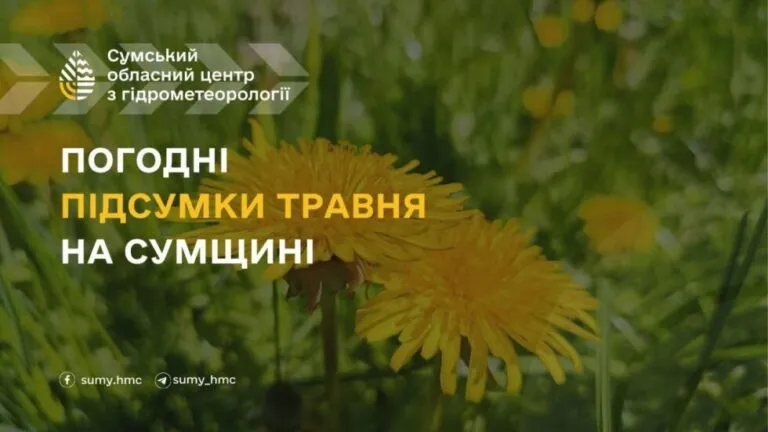 На Сумщині підбили погодні підсумки травня